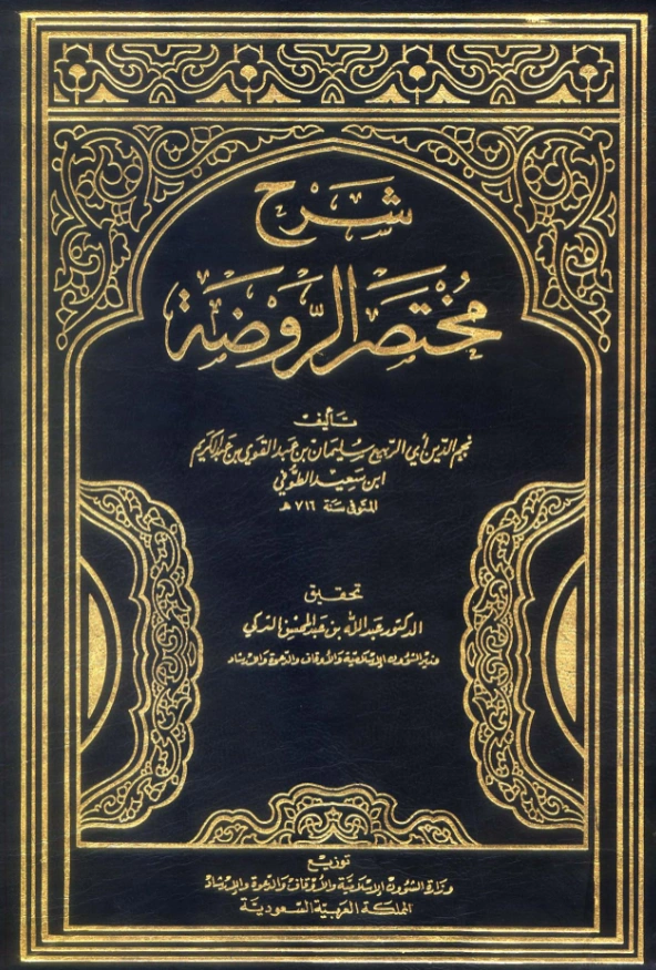 كتاب شرح مختصر الروضة لنجم الدين الطوفي PDF